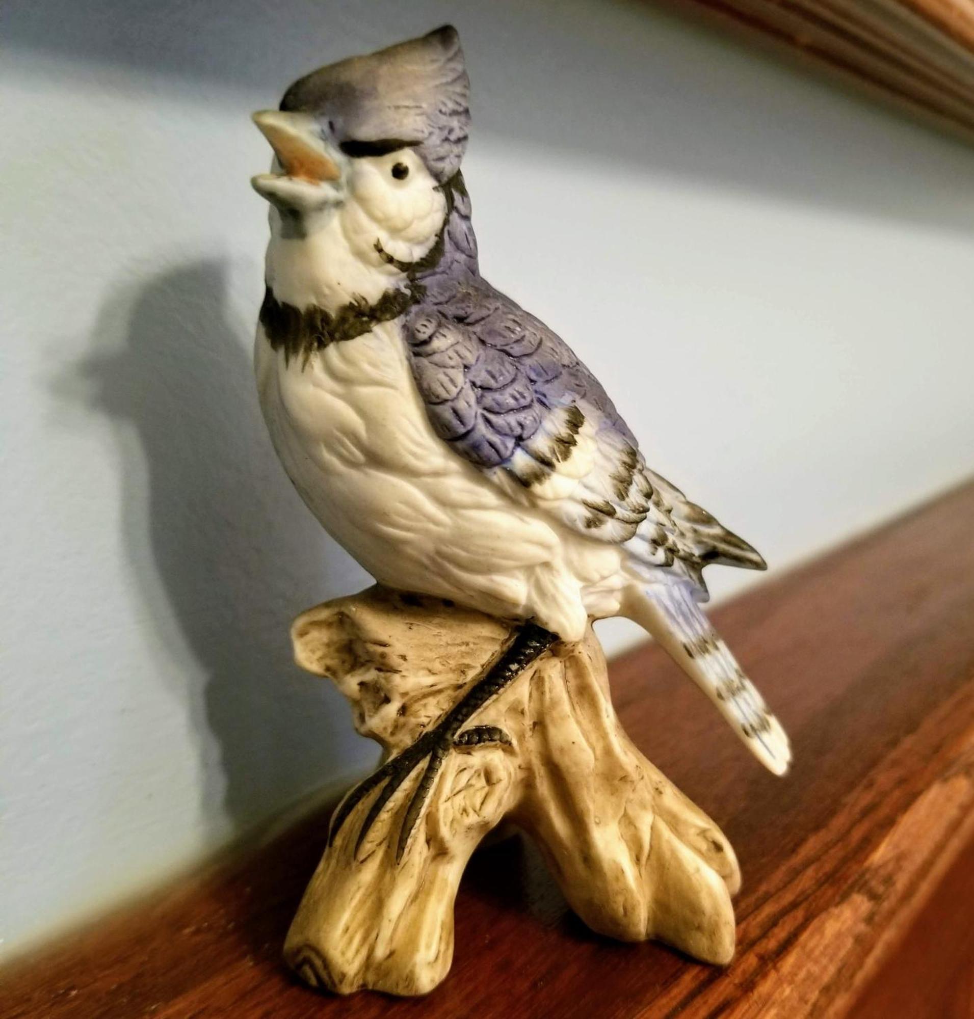 Buffalo Harmony House Стая снимка